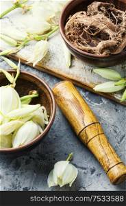 Yucca in herbal medicine.Mortar and bowl of healing herbs.Natural medical herbs. Yucca flowers in medicine.