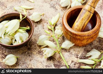 Yucca in herbal medicine.Mortar and bowl of healing herbs.Natural medical herbs. Yucca flowers in medicine.