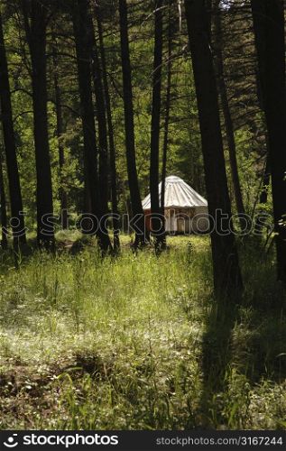 Yurt in the forest
