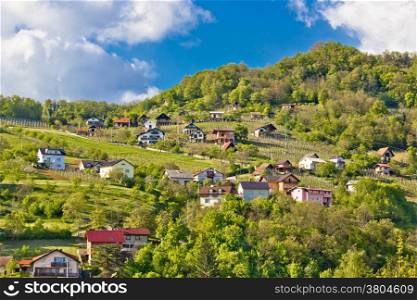 Zagorje hills vineyards and cottages, Krapina, Croatia