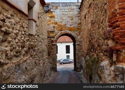 Zamora door of Dona Urraca in Spain by the via de la Plata way of Saint James