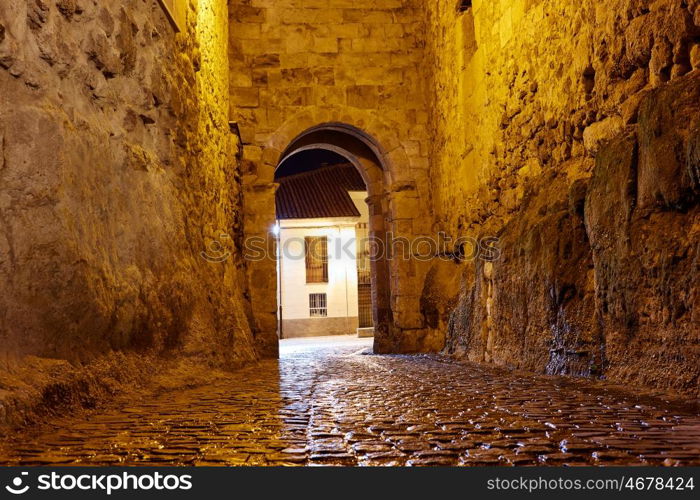 Zamora door of Dona Urraca in Spain by the via de la Plata way of Saint James