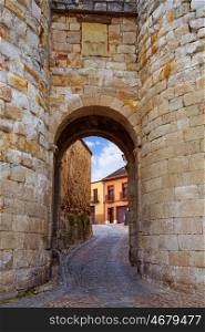 Zamora door of Dona Urraca in Spain by the via de la Plata way of Saint James