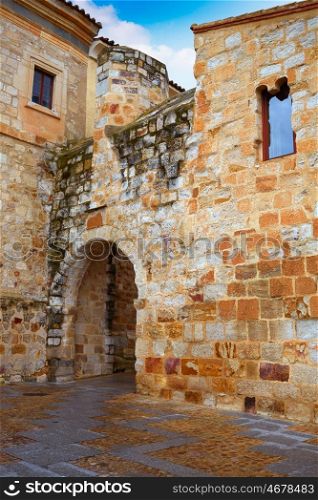 Zamora Obispo arch door near Cathedral in Spain