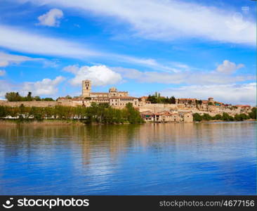 Zamora skyline by Duero river of Spain on the Via de la Plata way to Santiago