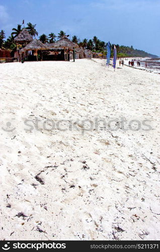 zanzibar beach seaweed in indian ocean tanzania sand isle sky and boat