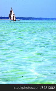 zanzibar beach seaweed in indian ocean tanzania sand isle sky and boat