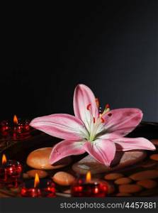 Zen atmosphere at spa salon, warm candles light at dark room, the spa stones in water with fresh pink lily, relaxation, meditation and beauty concept