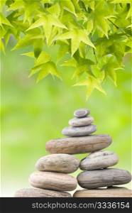 Zen concept, fresh green Leaves conservation with stack of pebbles