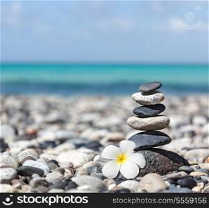 Zen meditation spa relaxation background - balanced stones stack with frangipani plumeria flower close up on sea beach
