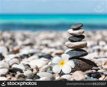 Zen meditation spa relaxation background - balanced stones stack with frangipani plumeria flower close up on sea beach. Zen balanced stones stack with plumeria flower