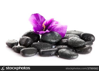 Zen pebbles. background of a spa with stones