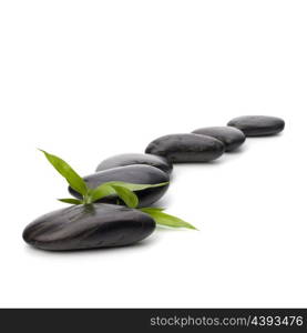 Zen pebbles path. Spa and healthcare concept.