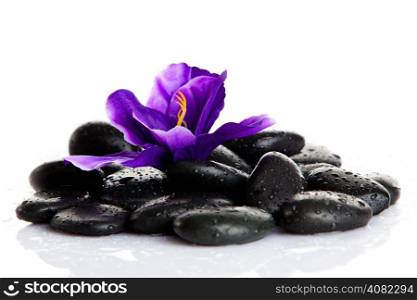 Zen pebbles. Stone spa