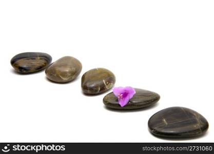 zen stones with flower isolated. spa background