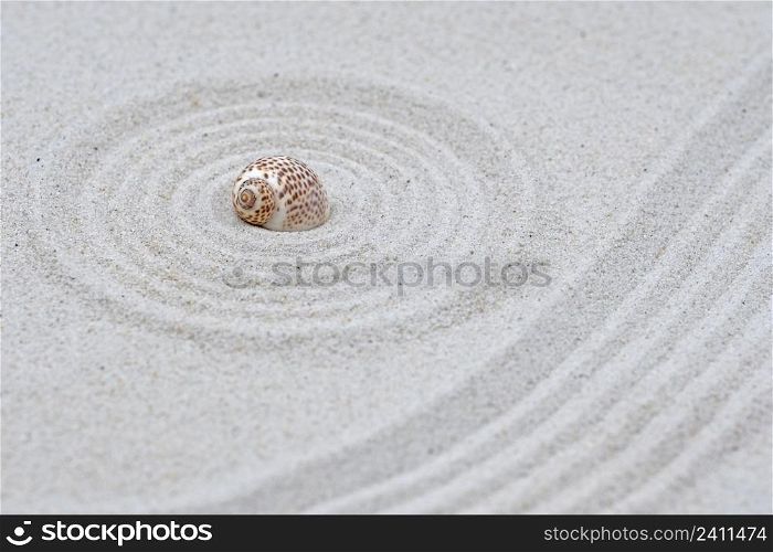 zen style, sand with s snail shell