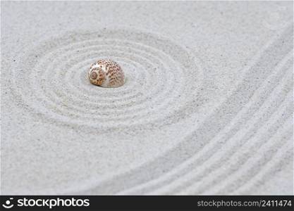zen style, sand with s snail shell