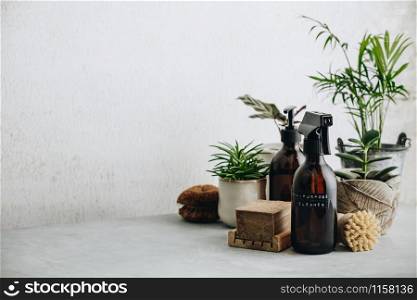 Zero waste, Recycle, Reuse, Sustainable minimalistic lifestyle concept. Eco-friendly items and ingredients for eco home cleaning and house plants, copy space