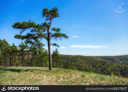 Zhiguli mountains. Landscape in Zhiguli mountains