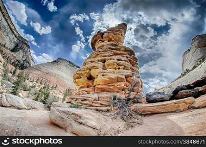 Zion Canyon National Park Utah