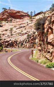 Zion National Park. A road in the middle of the nature