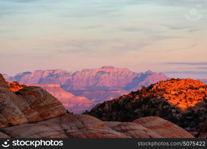 Zion National Park at sunrise. Utah, Usa