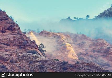 Zion National Park. Beautiful unspiring natural landscapes. Peak in Zion Park at sunset.