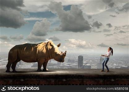 Zoo animal. Young scared woman holding rhino on rope