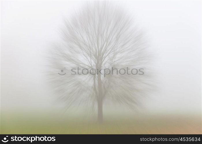 Zoom motion blurred Autumn or Fall tree in a field covered in fog or mist