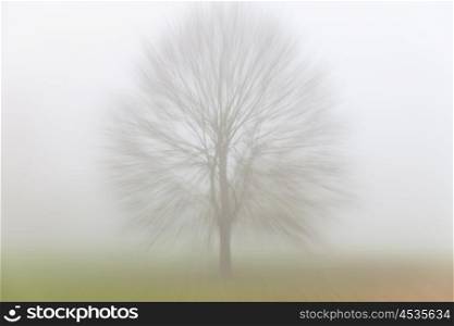 Zoom motion blurred Autumn or Fall tree in a field covered in fog or mist