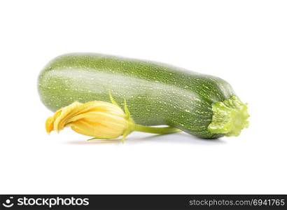 Zucchini and flower on white