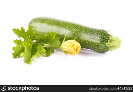 Zucchini, flower and leaf on white