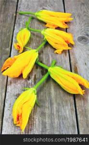 Zucchini Flowers on a Wooden Background Studio Photo. Zucchini Flowers on a Wooden Background