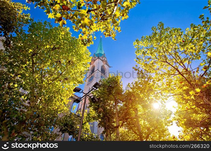 Zurich church tower view through tree with sun haze, largest city in Switzerland
