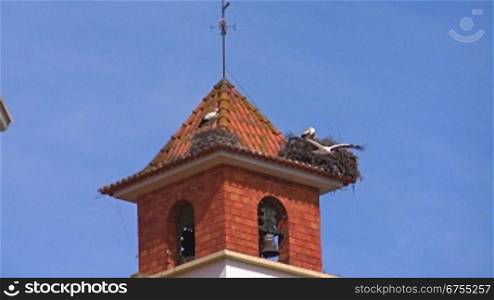 Zwei Storchennester auf einem roten Turm mit Ziegeldach aus Backsteinen / Kirchdach in Portugal; St?rche sitzen auf ihren Nestern, ein Storch fliegt weg; blauer Himmel.